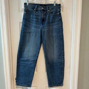 Banana Republic High-Rise Barrell Jean